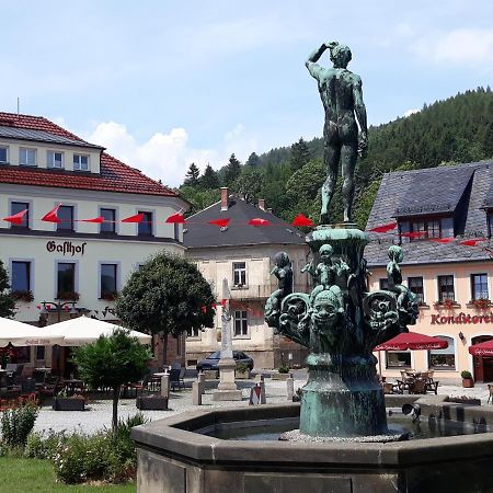 Gasthof Hillig Bad Gottleuba-Berggiesshuebel Bagian luar foto