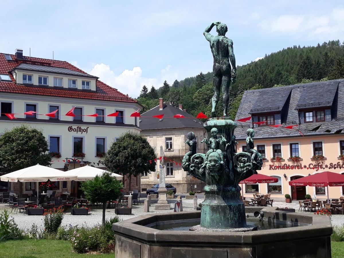 Gasthof Hillig Bad Gottleuba-Berggiesshuebel Bagian luar foto