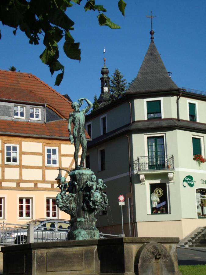 Gasthof Hillig Bad Gottleuba-Berggiesshuebel Bagian luar foto