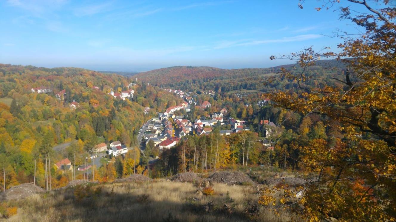 Gasthof Hillig Bad Gottleuba-Berggiesshuebel Bagian luar foto