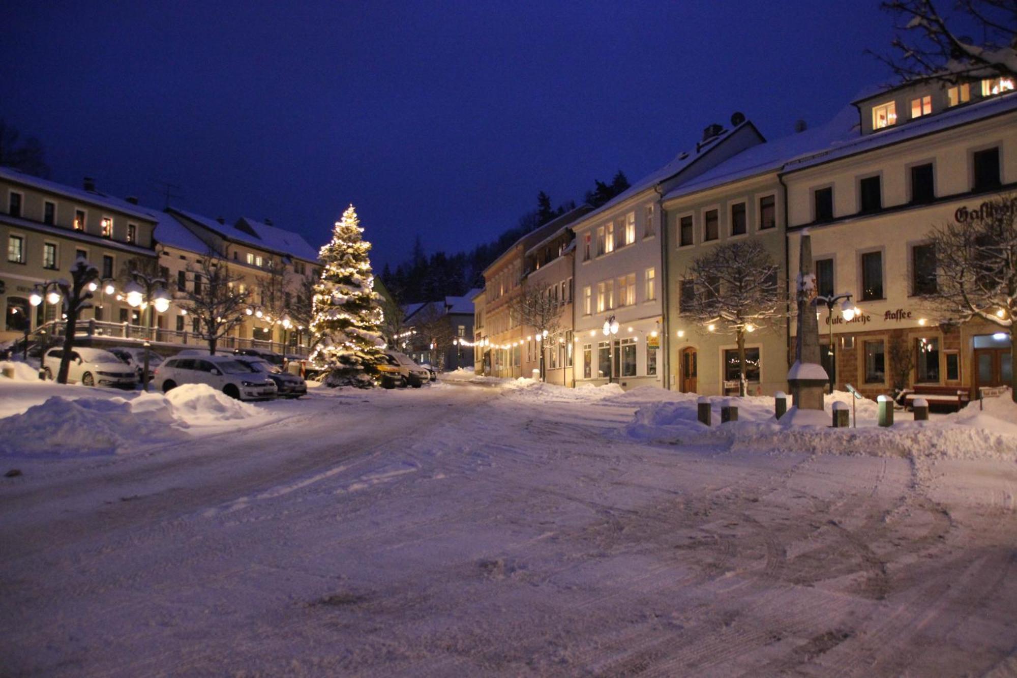Gasthof Hillig Bad Gottleuba-Berggiesshuebel Bagian luar foto