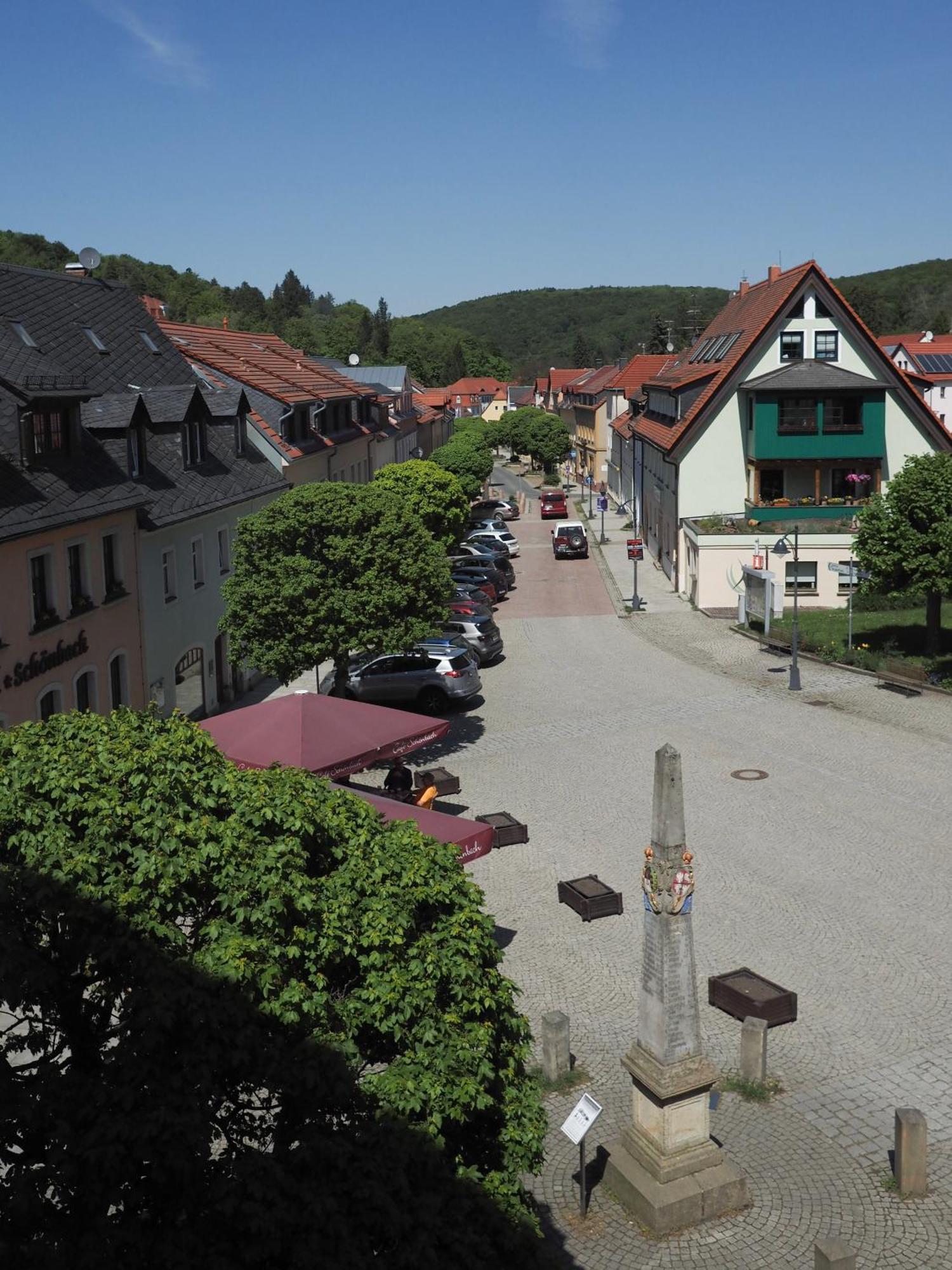 Gasthof Hillig Bad Gottleuba-Berggiesshuebel Bagian luar foto